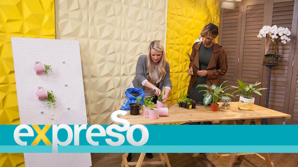 Interior designer and lifestyle blogger Melissa Louise shares her top tips for stylish indoor gardening