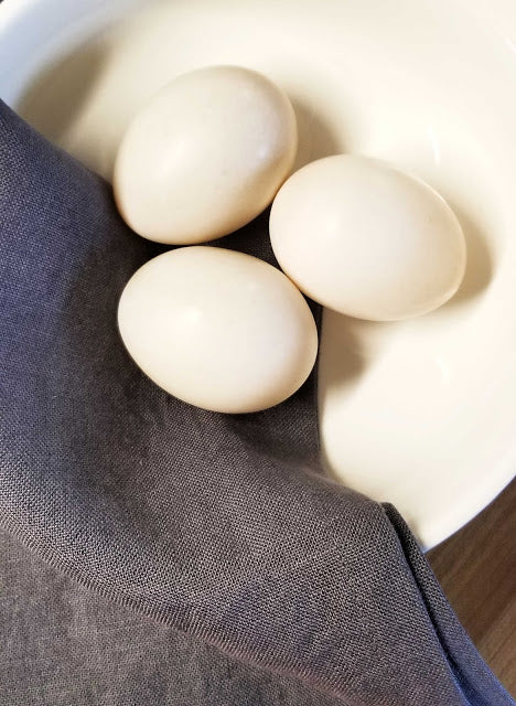 Duck Eggs vs. Chicken Eggs: 12 Reasons Why Duck Eggs are Better